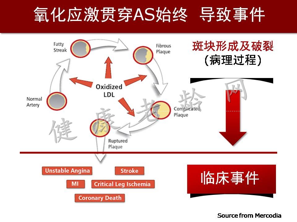 心脑血管疾病防治新策略——抗氧化应激