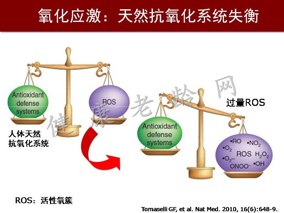 心脑血管疾病防治新策略——抗氧化应激