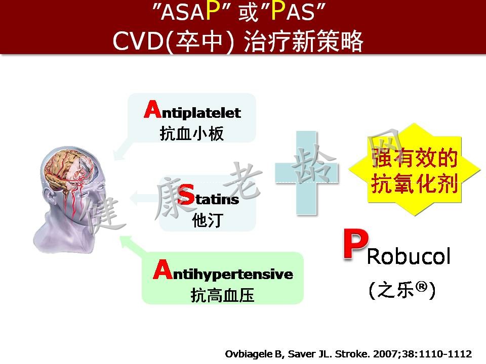 心脑血管疾病防治新策略——抗氧化应激