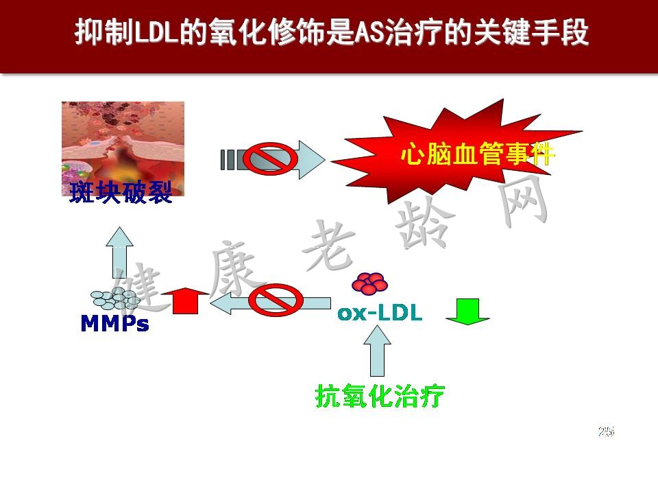 心脑血管疾病防治新策略——抗氧化应激