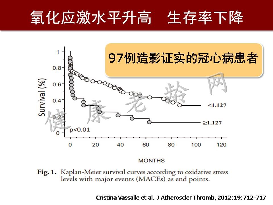 心脑血管疾病防治新策略——抗氧化应激