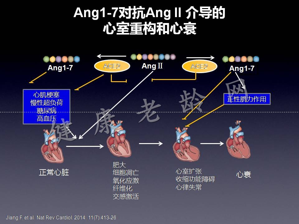 RAS与RASI百年历程