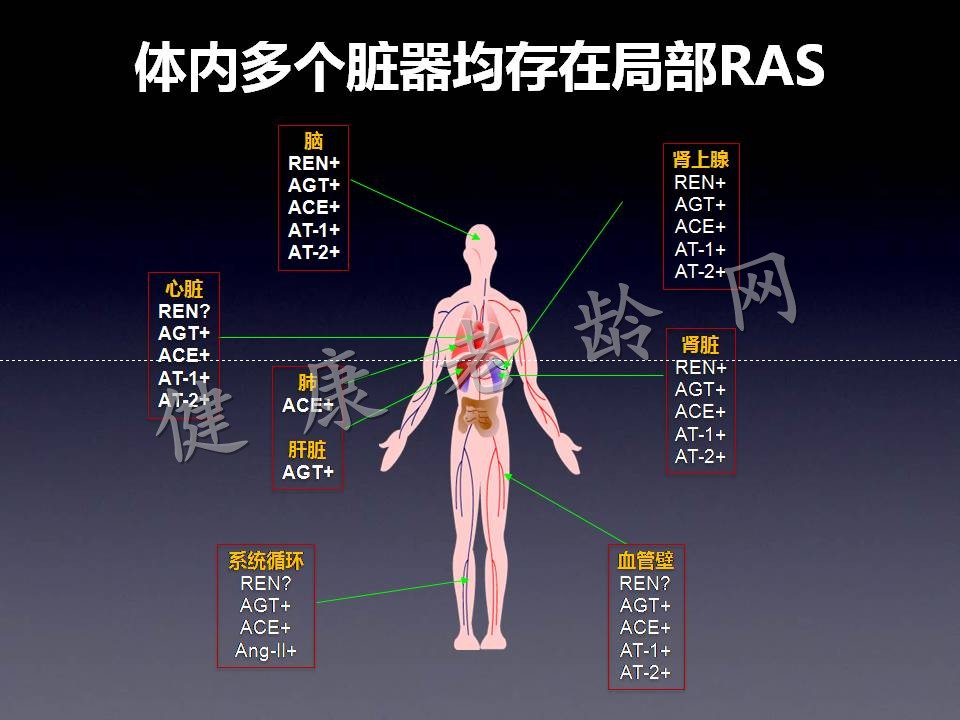 RAS与RASI百年历程