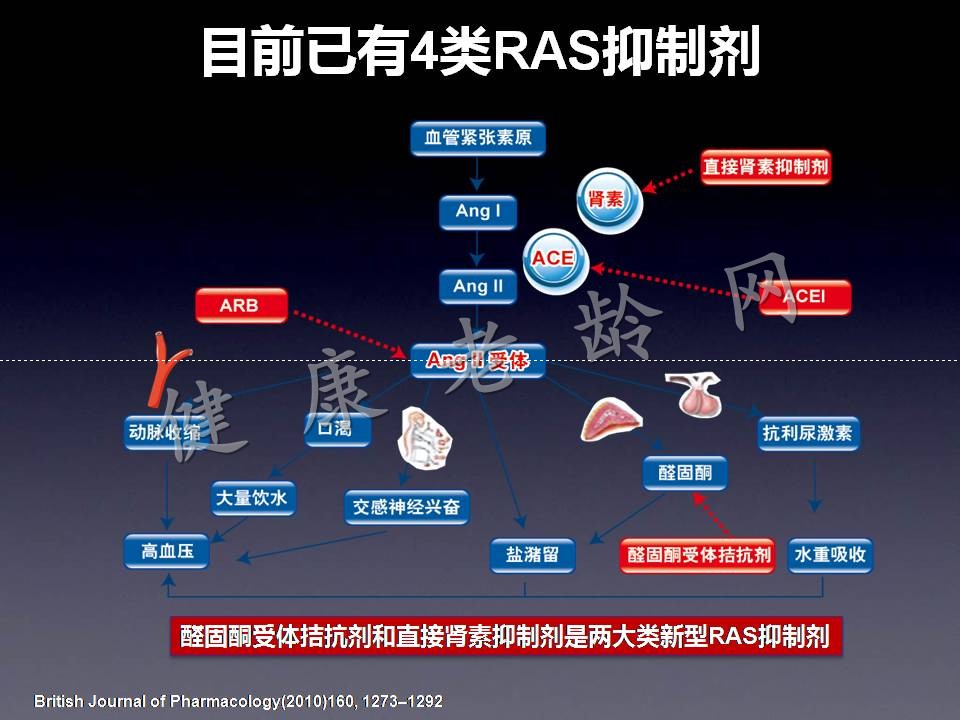 RAS与RASI百年历程