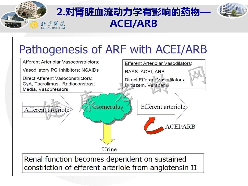 老年人药物性肾损害和药物相互作用