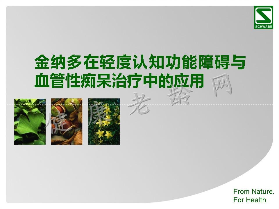金纳多轻度认知功能障碍与血管型痴呆治疗中的理想选择