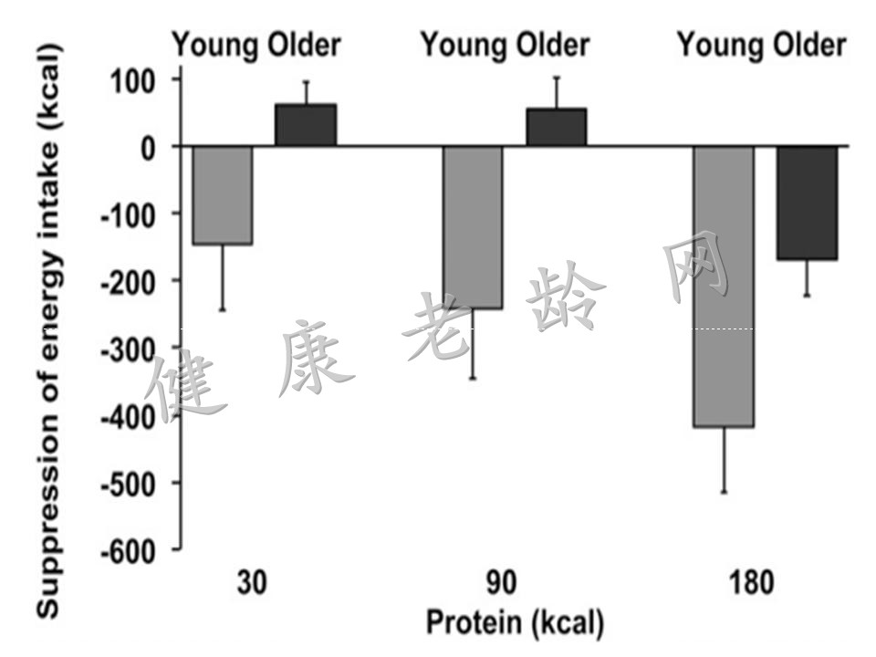 胃动力的增龄性变化