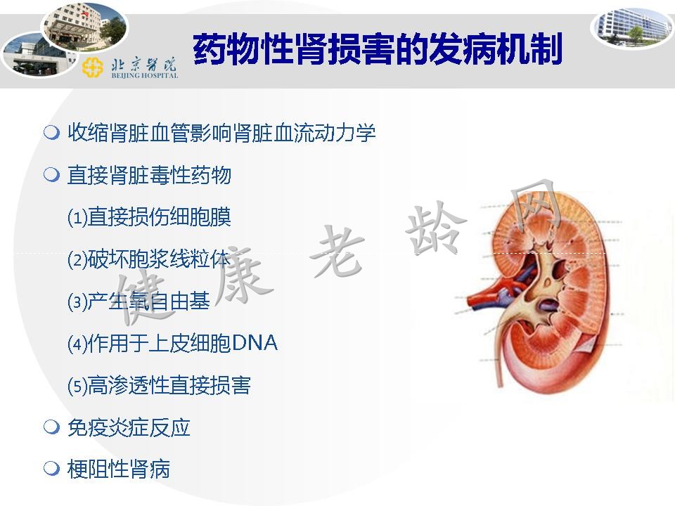 老年人药物性肾损害和药物相互作用