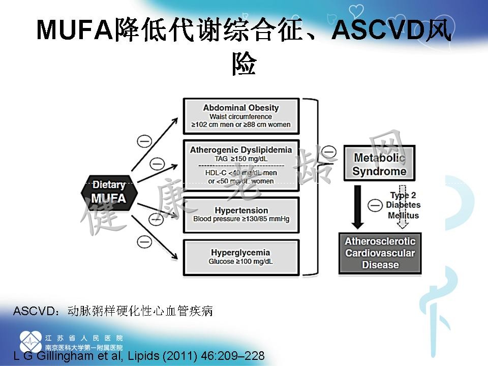 脂肪酸与心血管疾病