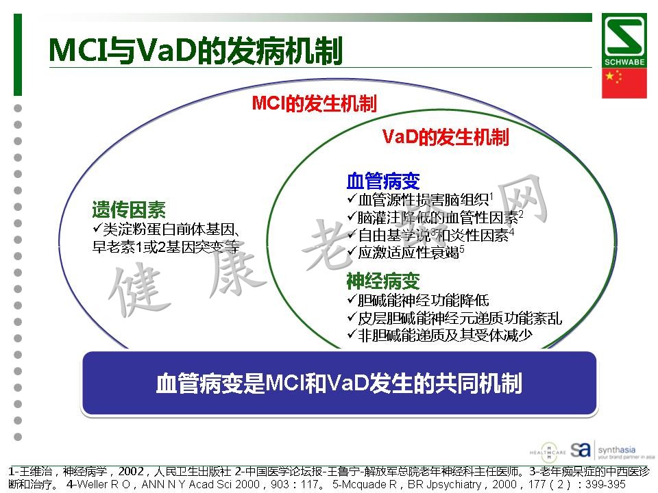 金纳多轻度认知功能障碍与血管型痴呆治疗中的理想选择