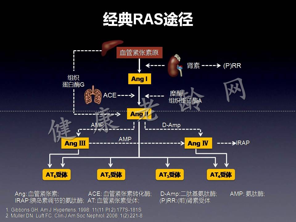 RAS与RASI百年历程