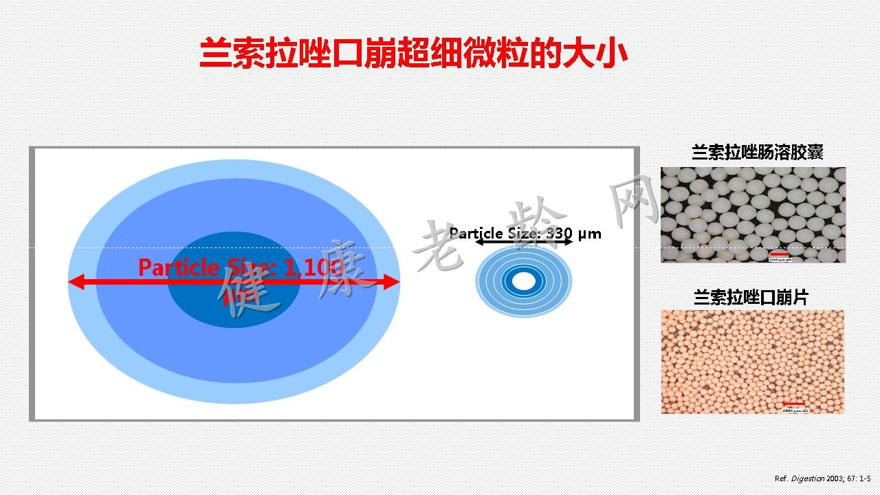 兰索拉唑口崩片的PK/PD特征