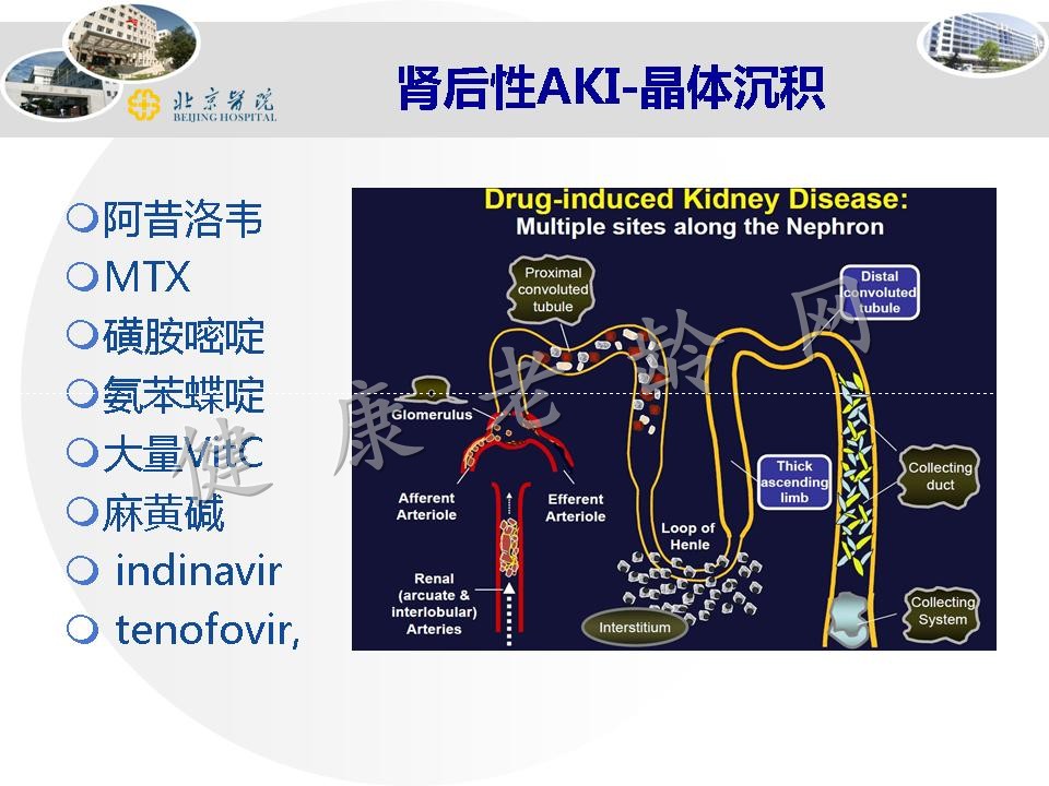 老年人药物性肾损害和药物相互作用