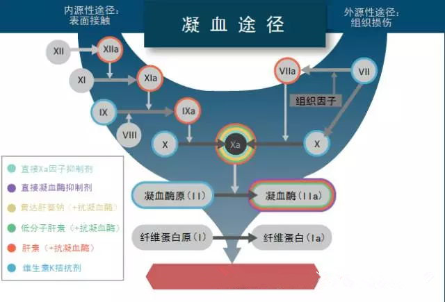 [图文]抗凝相关出血的管理流程