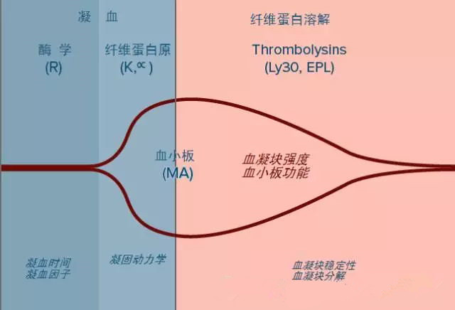 [图文]抗凝相关出血的管理流程