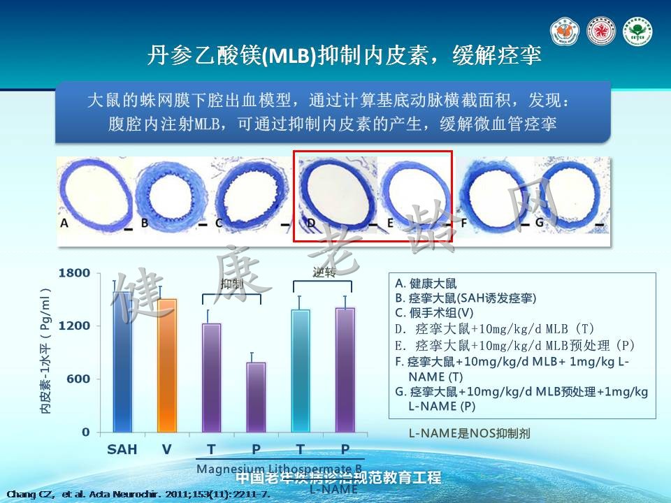 老年冠心病治疗的新视点