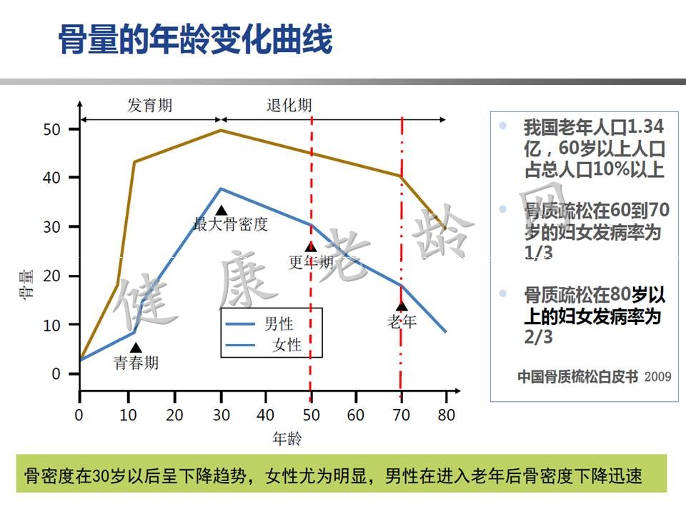 老年骨质疏松的特点及合理用药