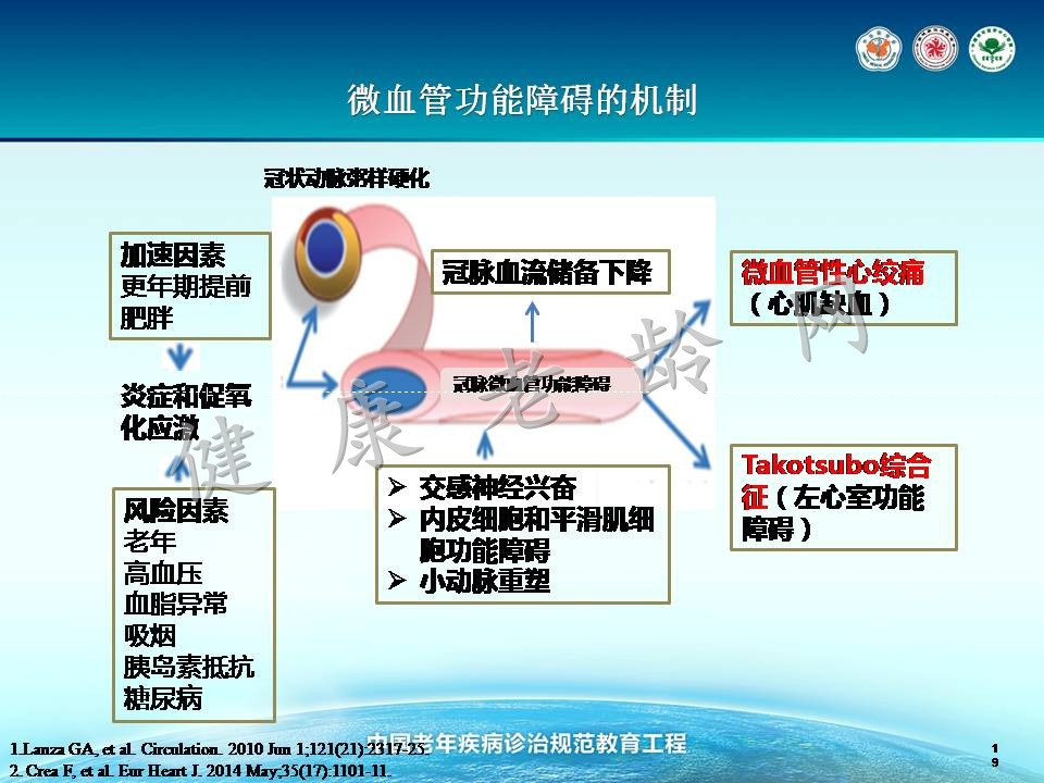 老年冠心病治疗的新视点