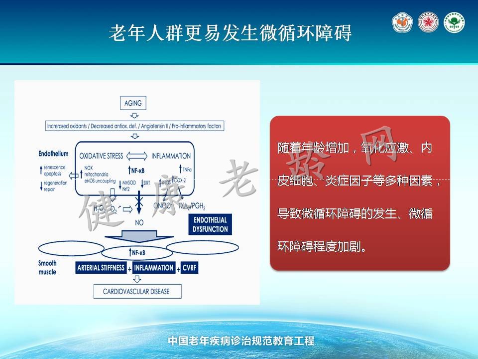 老年冠心病治疗的新视点