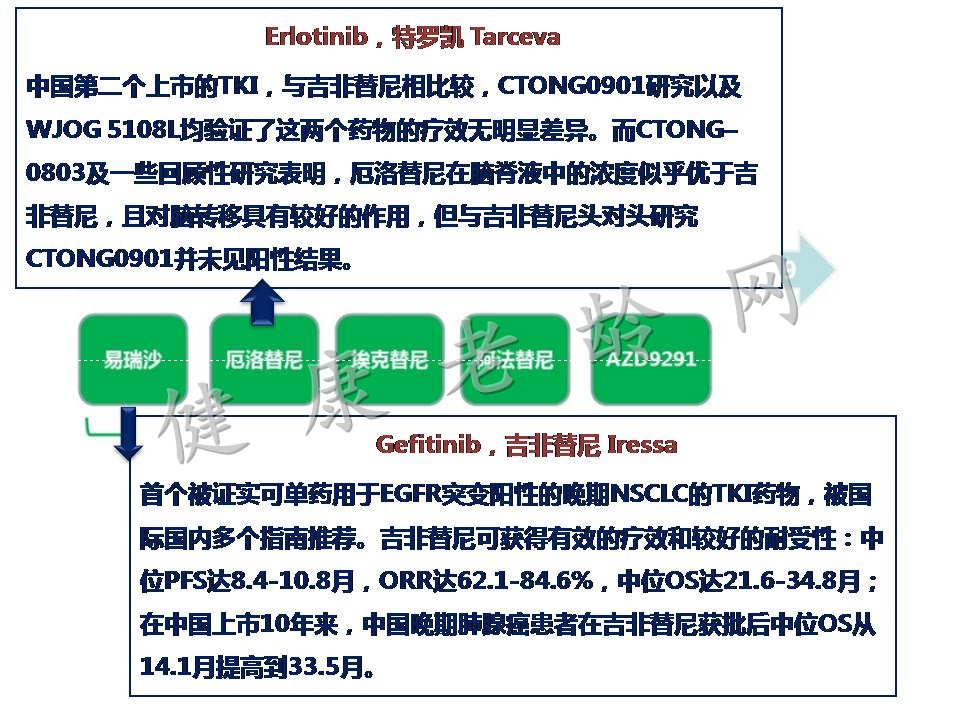 老年晚期肺癌的精准治疗和早期姑息