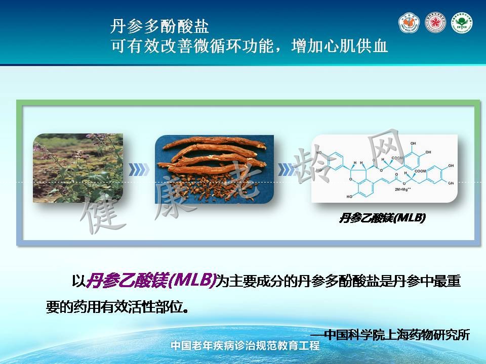 老年冠心病治疗的新视点