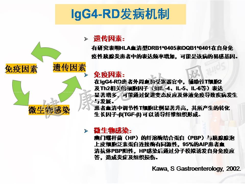 新的中老年自身免疫性疾病——lgG4相关性疾病肾损害的诊治