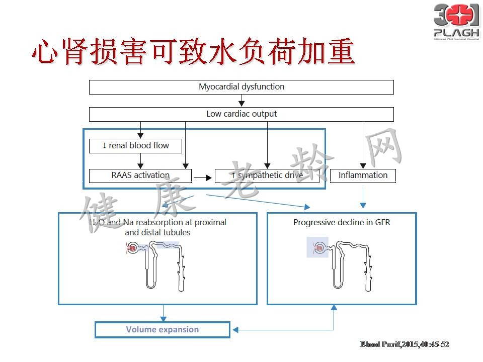 老年多器官衰竭的血液净化治疗