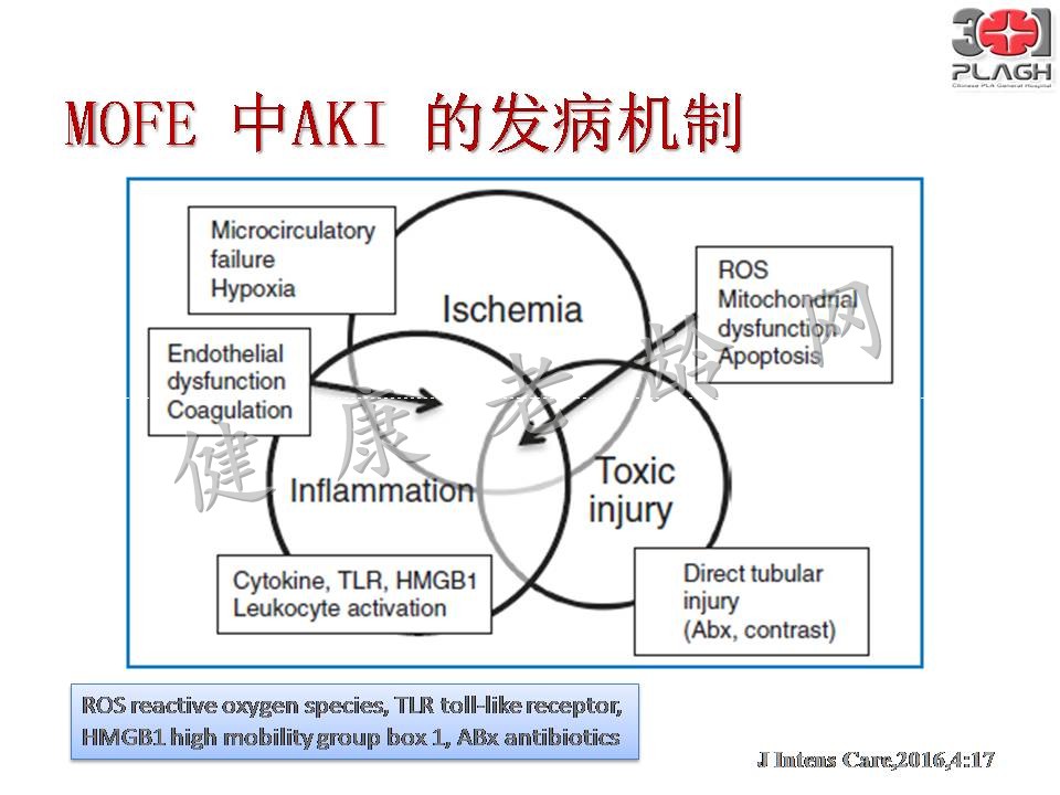 老年多器官衰竭的血液净化治疗