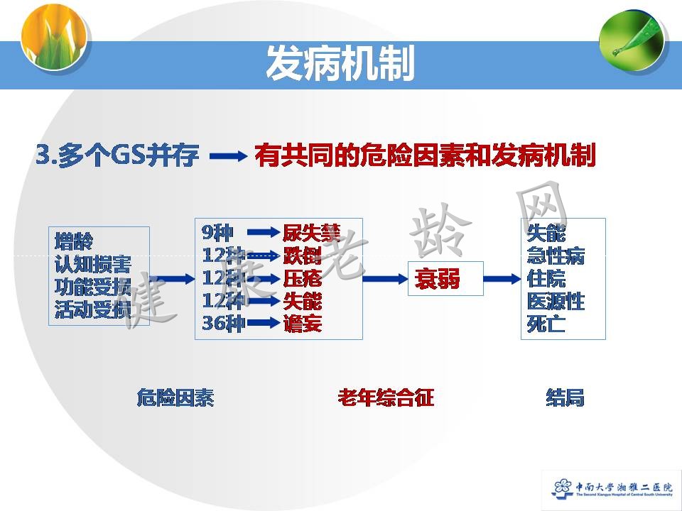 老年医学三大核心之一——老年综合征概论