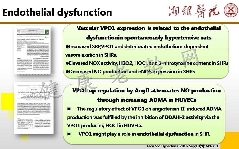 ROS generation and regulation in cardiovascular system