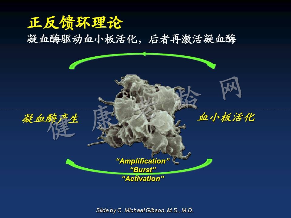 新版指南的主题：分层、抗栓和重建