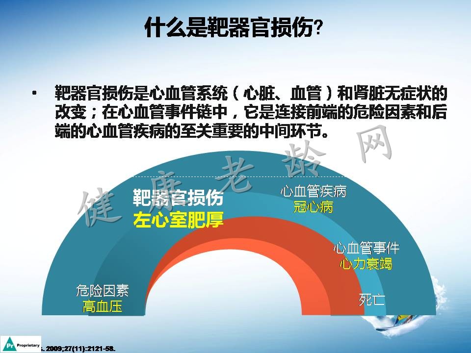 高血压合并左心室肥厚机制及临床意义