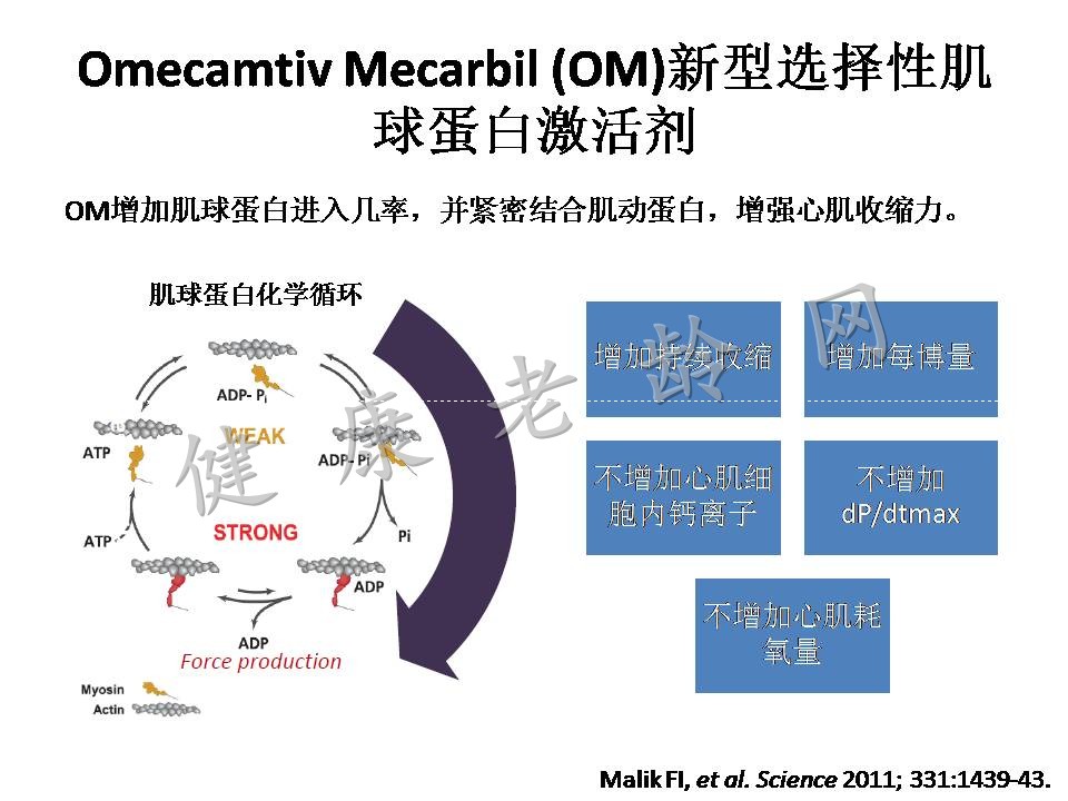 2015心力衰竭大会/第二节世界急性心力衰竭大会亮点热点汇总