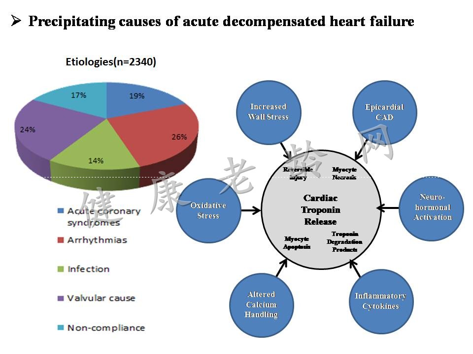 2015心力衰竭大会/第二节世界急性心力衰竭大会亮点热点汇总