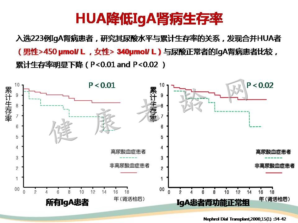 高尿酸血症与肾脏