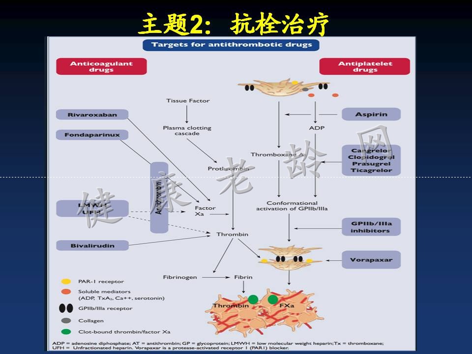 新版指南的主题：分层、抗栓和重建