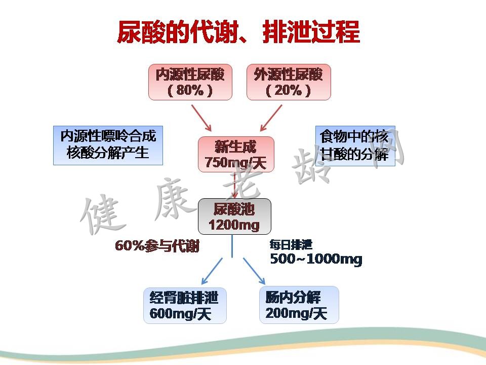 高尿酸血症与肾脏