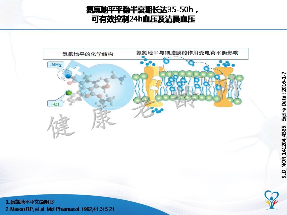 老年高血压患者的血压特点和管理策略