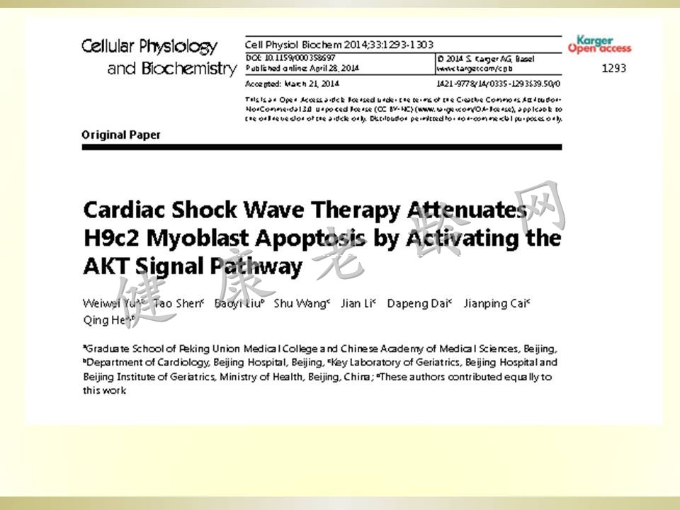 冠心病治疗新方法探讨——体外心脏震波治疗 Cardiac Shock Wave Therapy