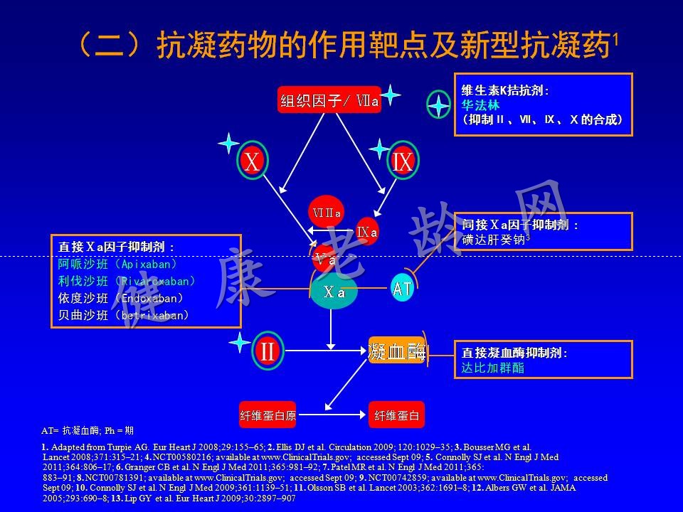 老年房颤患者的治疗