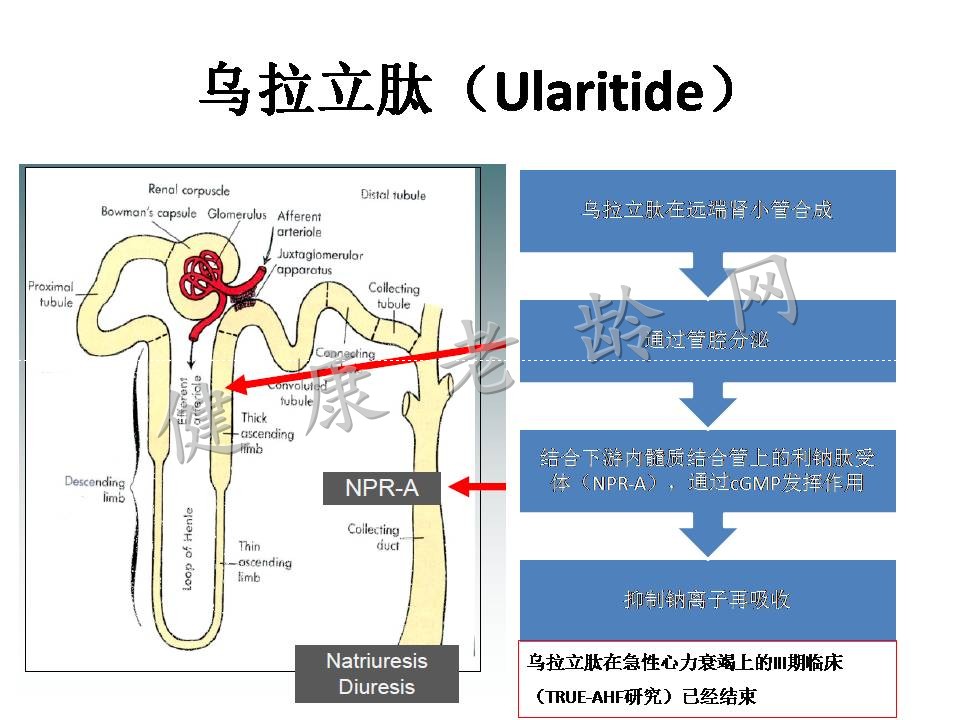 2015心力衰竭大会/第二节世界急性心力衰竭大会亮点热点汇总