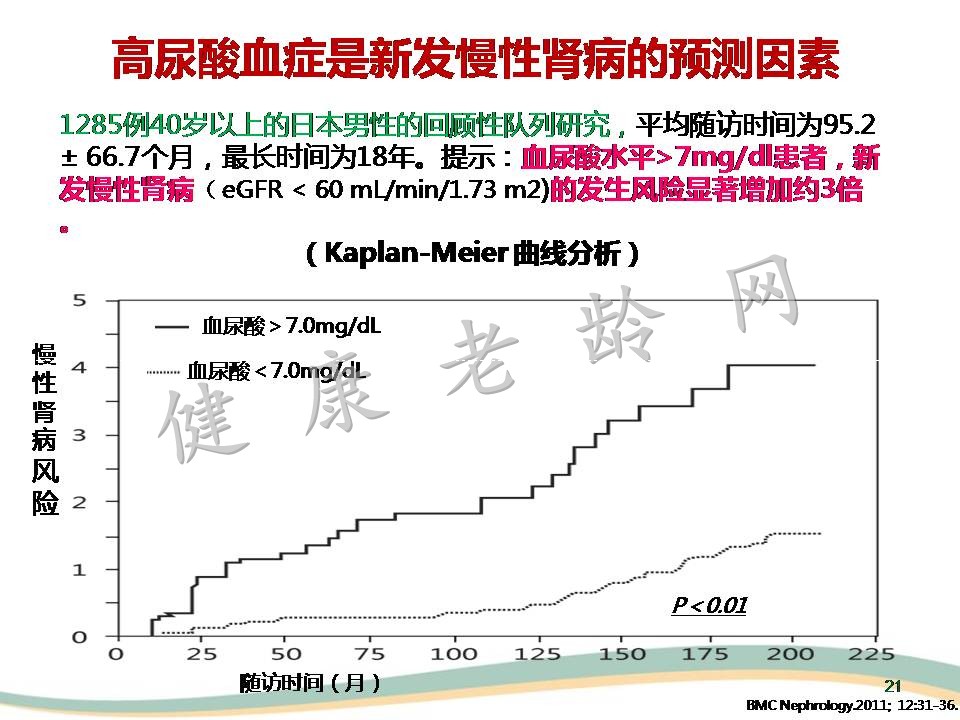 高尿酸血症与肾脏