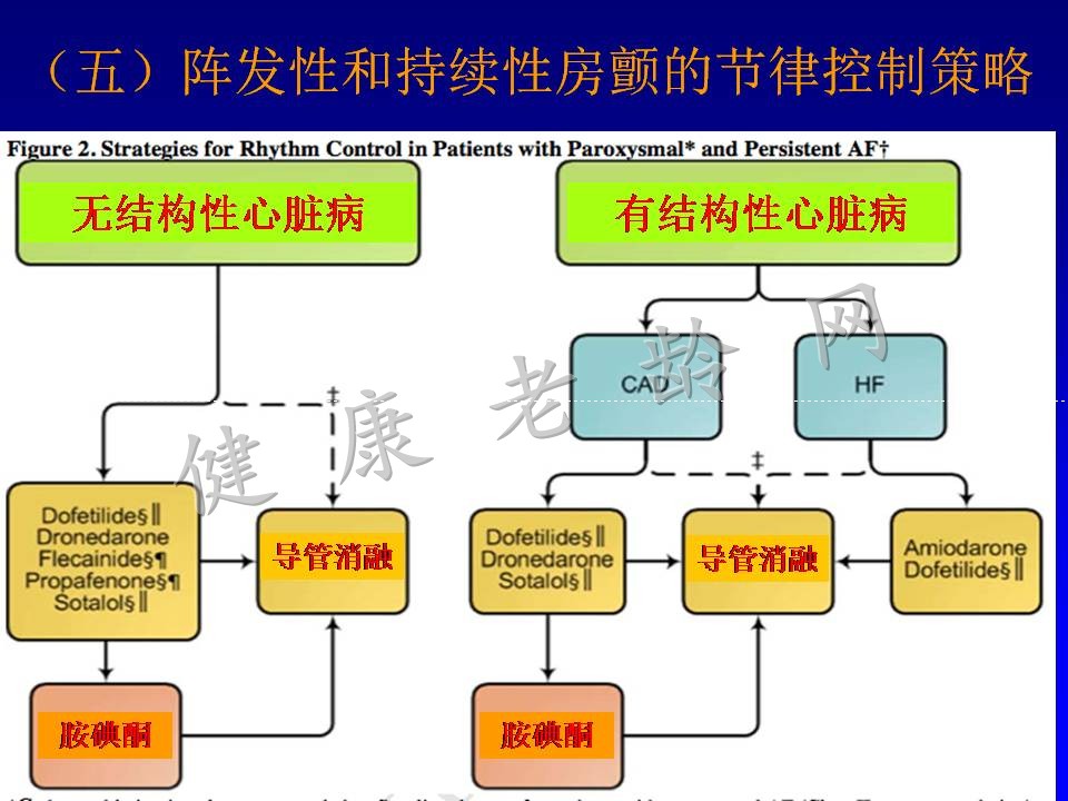 老年房颤患者的治疗