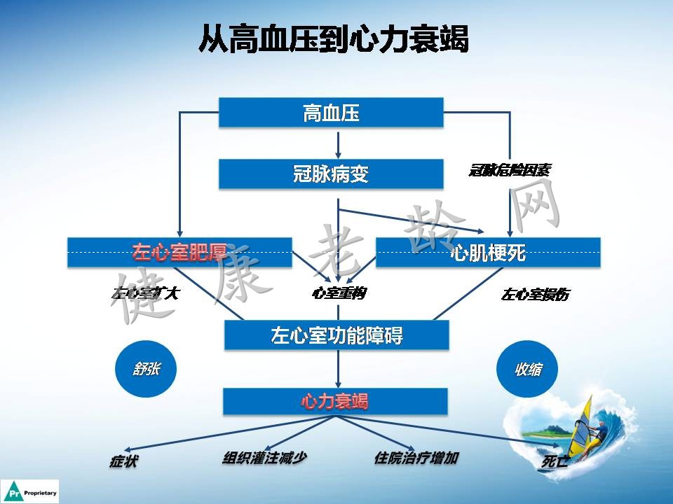 高血压合并左心室肥厚机制及临床意义