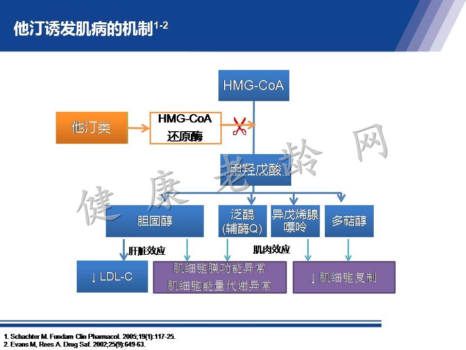 从机制到循证 看他汀安全性