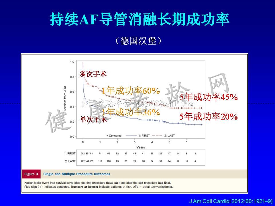 老年房颤患者的治疗