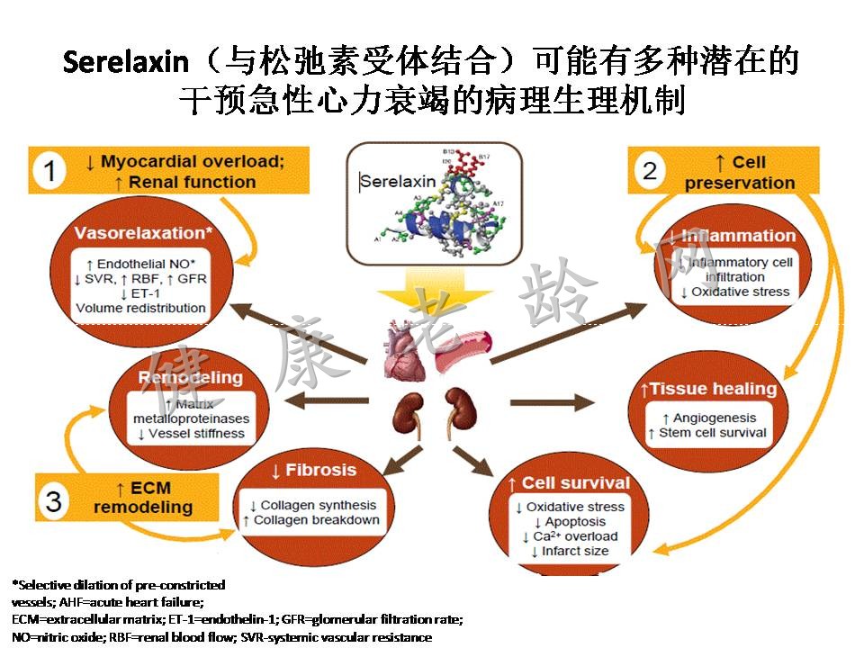 2015心力衰竭大会/第二节世界急性心力衰竭大会亮点热点汇总