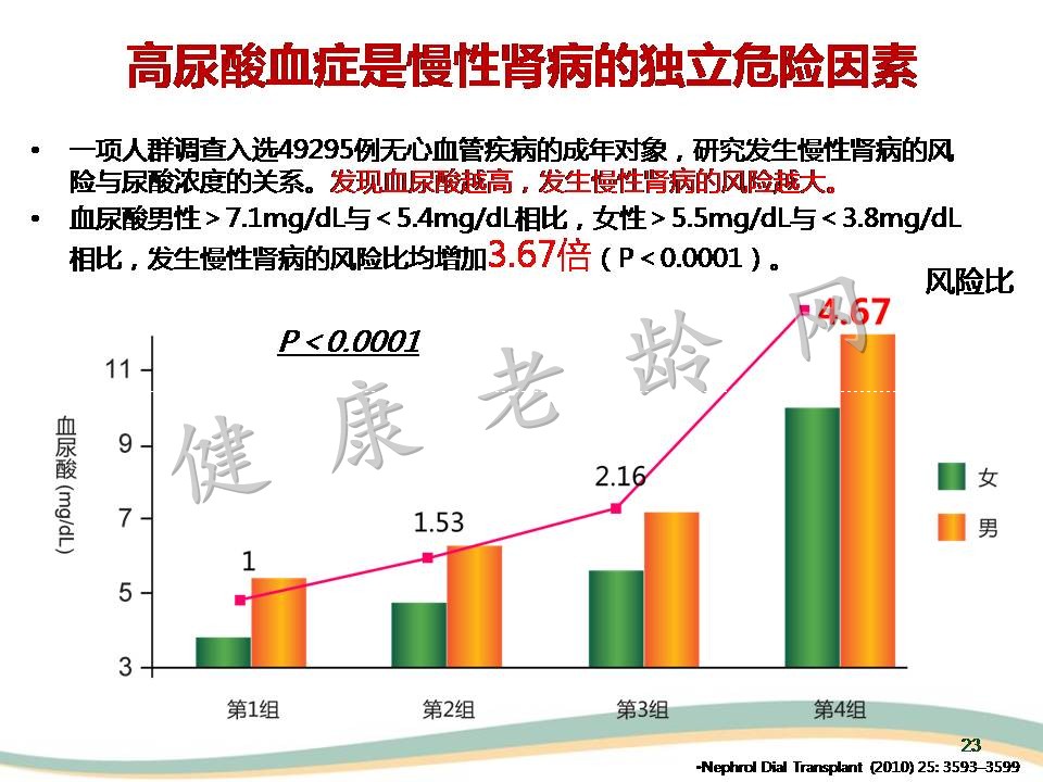 高尿酸血症与肾脏