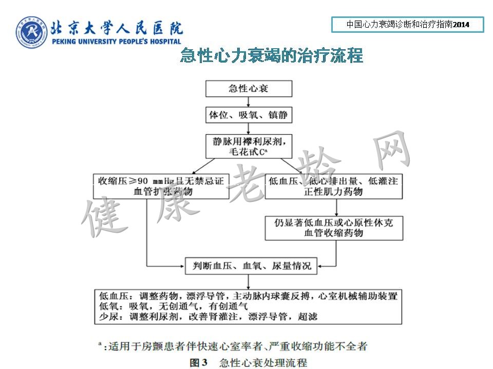 急性心衰的诊治及慢性心衰的康复治疗