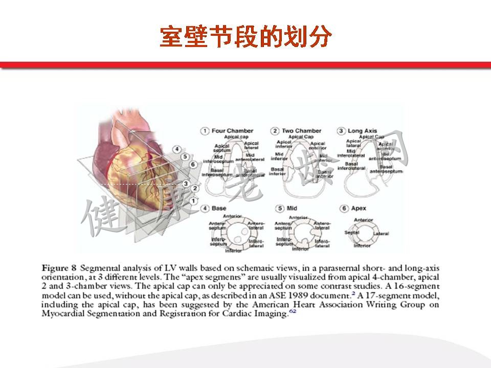 超声心电图的临床基础（一）